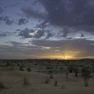 Sunrise in the Sahara desert